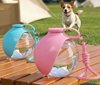 Botella de agua portatil para mascotas, perro jugando en el parque